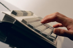 �������C�l�����ʐ^